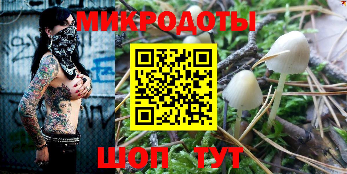 Галлюциногенные грибы Psilocybe  закладка  Кызыл  Галлюциногенные грибы мухоморы  Вход с VPN 